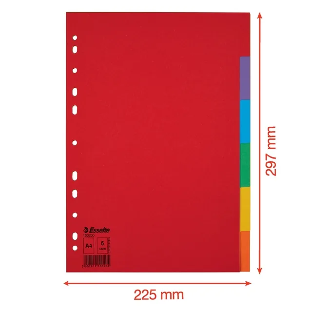 Tabbladen Esselte Economy A4 6dlg  karton 11r ass