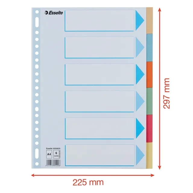 Tabbladen Esselte premium A4 6dlg karton 23r ass