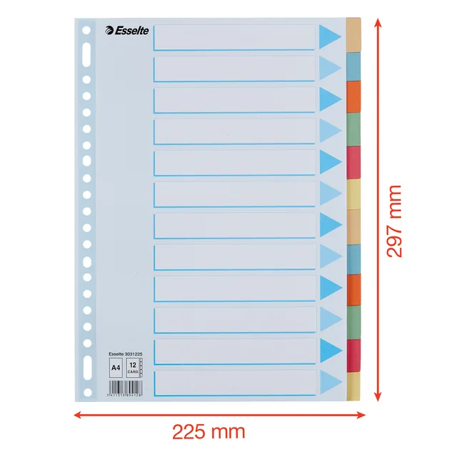 Tabbaden Esselte premium A4 12dlg karton 23r ass