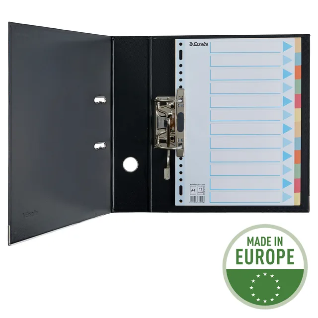 Tabbaden Esselte premium A4 12dlg karton 23r ass