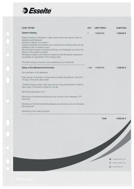 Showtas Esselte Economy copy safe PP A4