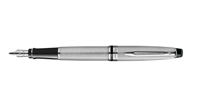 Vulpen Waterman Expert CT M roestvrij staal