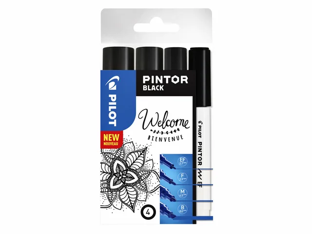 Verfstift PILOT Pintor assorti breedtes zwart