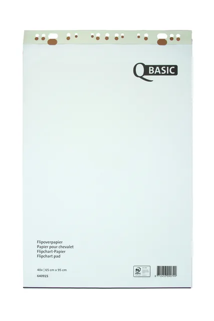 Flipoverpap Qbasic 65x95cm blanco/ruit 74gr