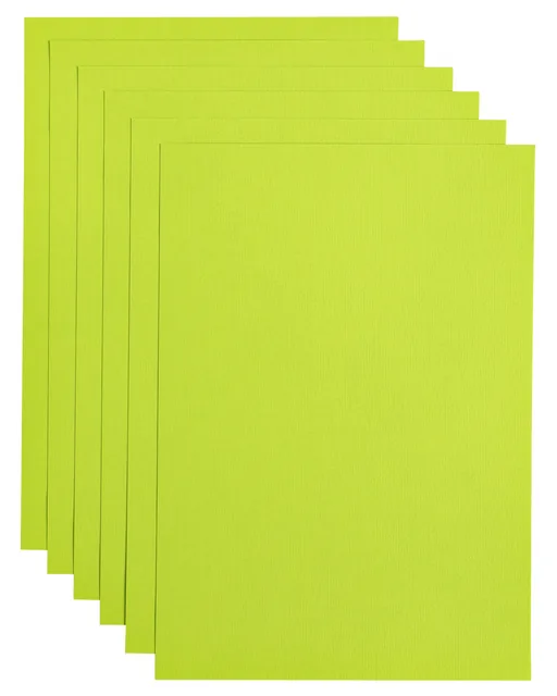 Kopieerpapier Papicolor A4 100gr appelgroen
