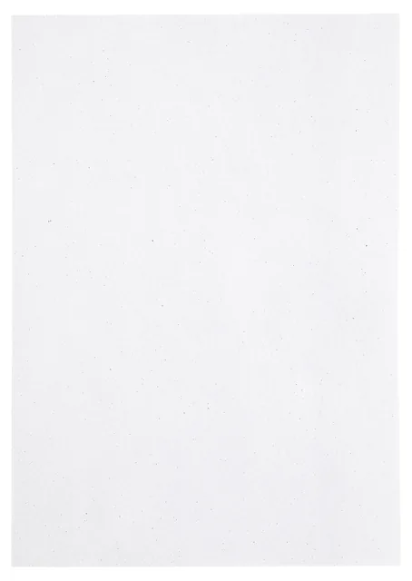 Kopieerpapier Papicolor A4 220gr kraft wit
