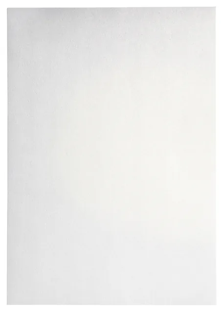 Kopieerpapier Papicolor A4 120gr parelwit