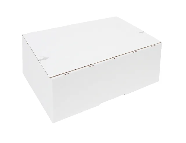 Postpakketbox IEZZY 2 200x140x80mm wit