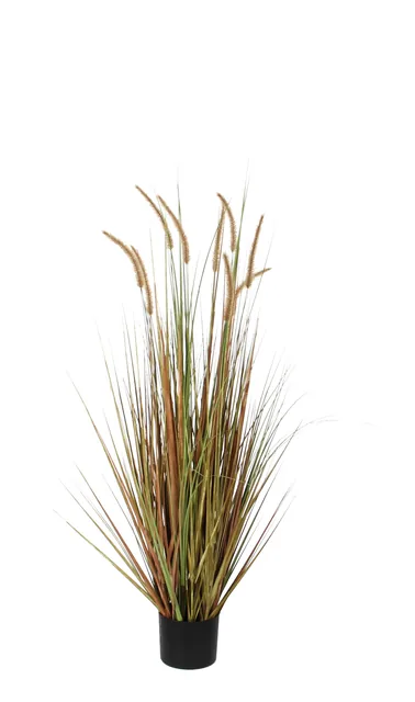 Kunst pluimgras dogtail 120cm exclusief pot groen