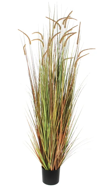 Kunst pluimgras dogtail 180cm exclusief pot groen