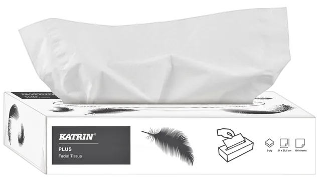 Facial tissues Katrin Plus 2laags 100 vel wit