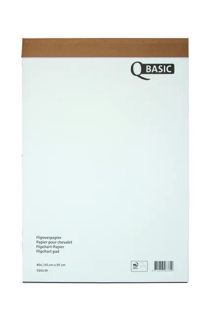 Flipoverpapier Qbasic 65x95cm blanco ruit