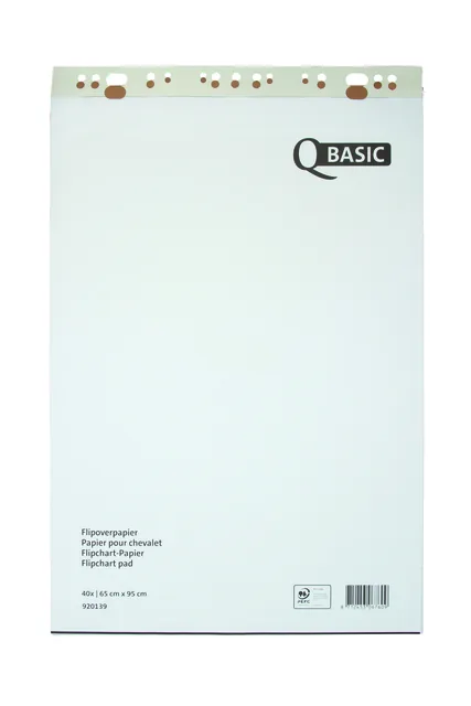 Flipoverpapier Qbasic 65x95cm blanco ruit