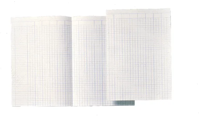 Accountantspapier Djois Atl A4 14 kolom