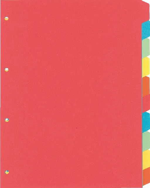 Tabblad Kangaro 4r PE410 10 delig assorti karton