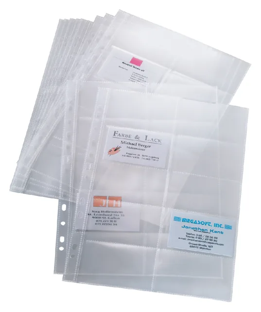 Visitekaarthoes Sigel 200krt 90x58mm 2 rijen tr