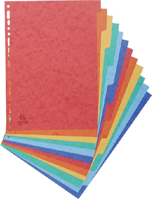 Tabbladen Exacompta 225x297mm 11gaats 12del glans