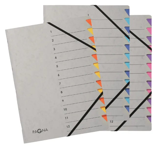 Sorteermap Pagna Easy A4 12 tabs lbl/bl