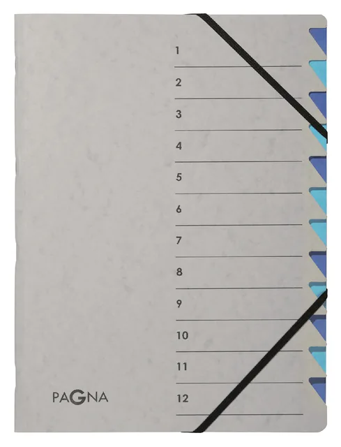 Sorteermap Pagna Easy A4 12 tabs lbl/bl