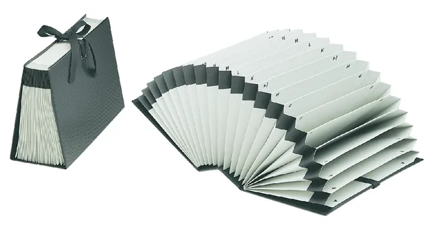 Sorteerordner Djois Diplo-Line folio A/Z 21vak zw