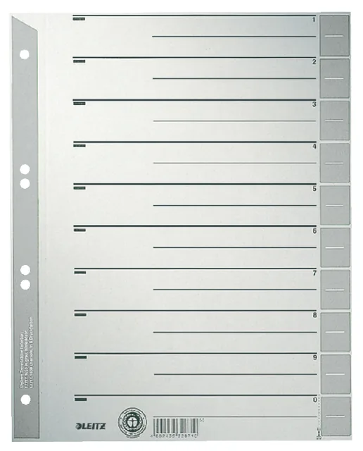 SCHEIDINGSBLADEN LEITZ 1652 KARTON A4 230GR GRIJS