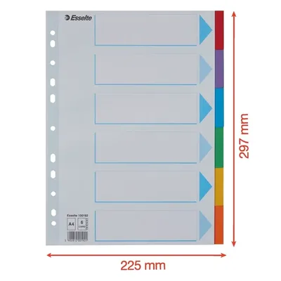 Tabbladen Esselte Stand A4 6dlg karton 11r ass