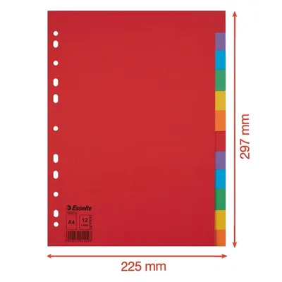 Tabbladen Esselte Economy A4 12dlg karton 11r ass