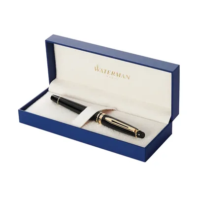 Vulpen Waterman Expert GT F lak zwart