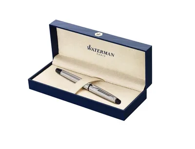 Vulpen Waterman Expert CT M roestvrij staal